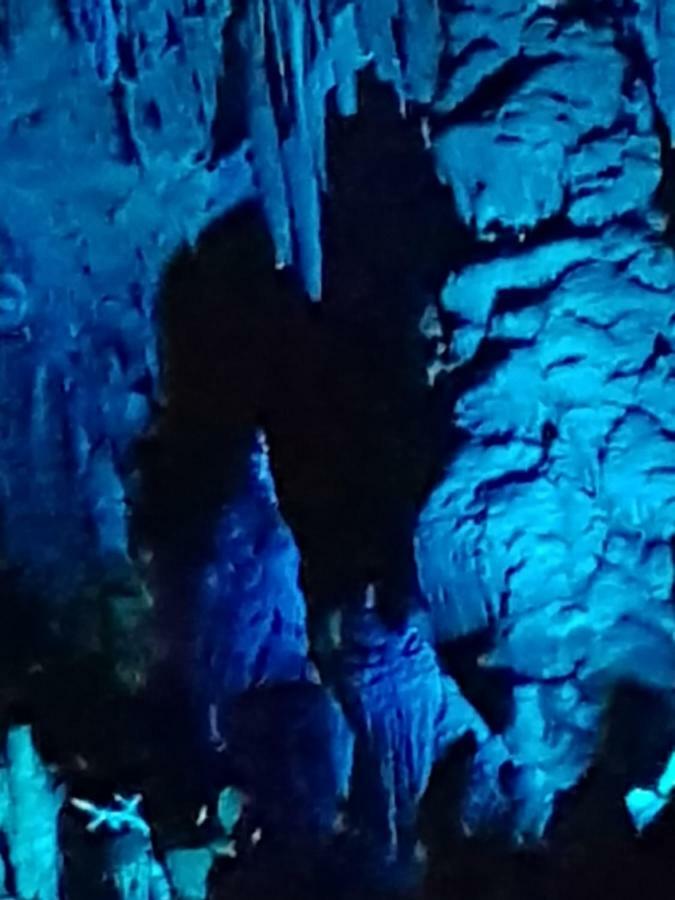 B&B 1984 バーリ エクステリア 写真
